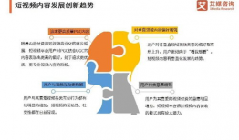 国外短视频研究,国外短视频发展趋势与研究生教育启示